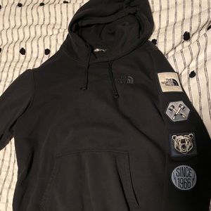 The north face hoodie